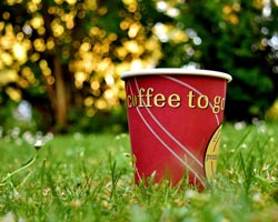 Coffe 2 Go Cup